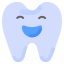 Smile Designing